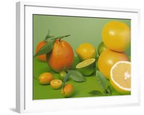 Colorful Citrus Fruit-Ulrike Koeb-Framed Photographic Print