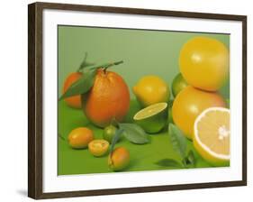 Colorful Citrus Fruit-Ulrike Koeb-Framed Photographic Print