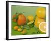 Colorful Citrus Fruit-Ulrike Koeb-Framed Photographic Print
