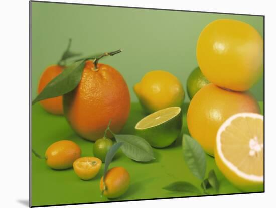 Colorful Citrus Fruit-Ulrike Koeb-Mounted Photographic Print