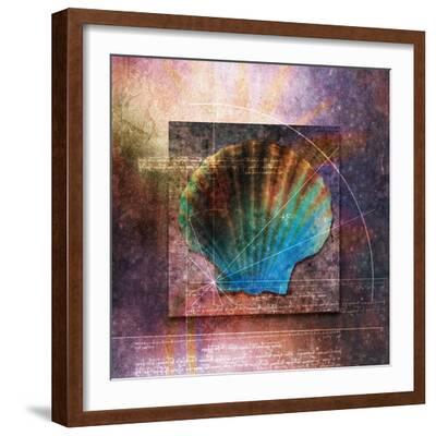 'Colorful Clam Shell and Geometry' Photographic Print - Colin Anderson ...