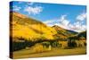 Colorful Colorado Lands-duallogic-Stretched Canvas