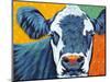 Colorful Country Cows I-Carolee Vitaletti-Mounted Art Print