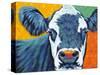 Colorful Country Cows I-Carolee Vitaletti-Stretched Canvas