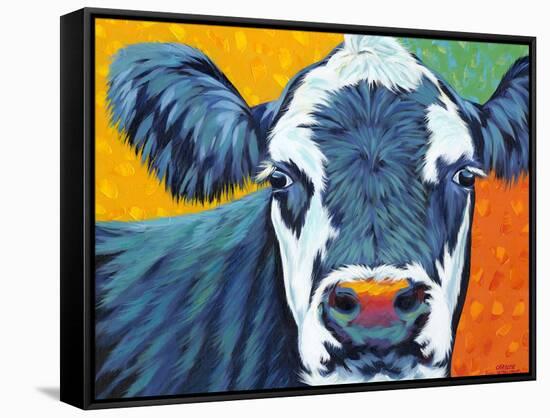 Colorful Country Cows I-Carolee Vitaletti-Framed Stretched Canvas