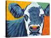 Colorful Country Cows I-Carolee Vitaletti-Stretched Canvas