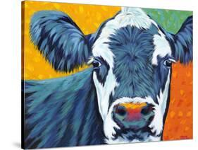 Colorful Country Cows I-Carolee Vitaletti-Stretched Canvas