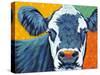 Colorful Country Cows I-Carolee Vitaletti-Stretched Canvas