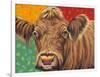 Colorful Country Cows II-Carolee Vitaletti-Framed Art Print