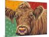 Colorful Country Cows II-Carolee Vitaletti-Mounted Art Print