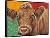 Colorful Country Cows II-Carolee Vitaletti-Framed Stretched Canvas