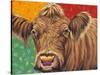 Colorful Country Cows II-Carolee Vitaletti-Stretched Canvas