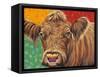 Colorful Country Cows II-Carolee Vitaletti-Framed Stretched Canvas