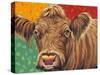 Colorful Country Cows II-Carolee Vitaletti-Stretched Canvas