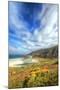 Colorful Cove North of Big Sur, California Coast-Vincent James-Mounted Photographic Print