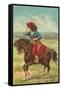 Colorful Cowgirl-null-Framed Stretched Canvas