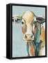 Colorful Cows I-Grace Popp-Framed Stretched Canvas