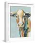 Colorful Cows I-Grace Popp-Framed Art Print