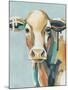 Colorful Cows I-Grace Popp-Mounted Art Print