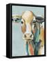 Colorful Cows I-Grace Popp-Framed Stretched Canvas
