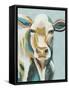 Colorful Cows III-Grace Popp-Framed Stretched Canvas