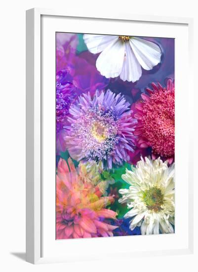 Colorful Dahlia Blossoms in Water-Alaya Gadeh-Framed Photographic Print