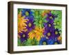 Colorful Daisies, Washington, USA-null-Framed Photographic Print