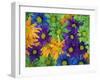 Colorful Daisies, Washington, USA-null-Framed Photographic Print