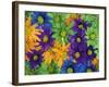 Colorful Daisies, Washington, USA-null-Framed Photographic Print