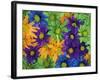 Colorful Daisies, Washington, USA-null-Framed Photographic Print