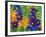 Colorful Daisies, Washington, USA-null-Framed Photographic Print