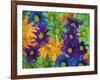 Colorful Daisies, Washington, USA-null-Framed Photographic Print