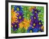 Colorful Daisies, Washington, USA-null-Framed Photographic Print