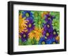 Colorful Daisies, Washington, USA-null-Framed Photographic Print