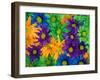 Colorful Daisy Collage, Washington, USA-null-Framed Photographic Print