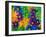 Colorful Daisy Collage, Washington, USA-null-Framed Photographic Print