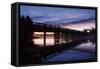Colorful Dawn at Fishing Bridge, Yellowstone-Vincent James-Framed Stretched Canvas