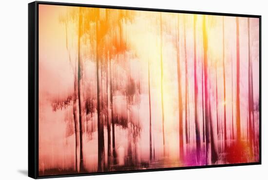 Colorful Day-Jacob Berghoef-Framed Stretched Canvas