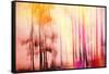 Colorful Day-Jacob Berghoef-Framed Stretched Canvas