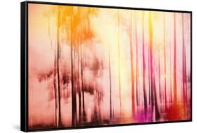 Colorful Day-Jacob Berghoef-Framed Stretched Canvas