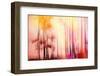 Colorful Day-Jacob Berghoef-Framed Photographic Print