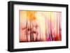 Colorful Day-Jacob Berghoef-Framed Photographic Print