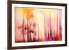 Colorful Day-Jacob Berghoef-Framed Photographic Print