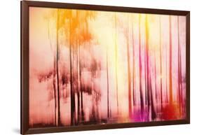 Colorful Day-Jacob Berghoef-Framed Photographic Print