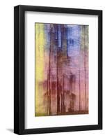 Colorful Days-Jacob Berghoef-Framed Photographic Print