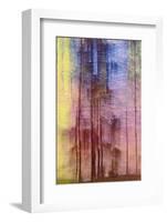 Colorful Days-Jacob Berghoef-Framed Photographic Print