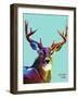 Colorful Deer Illustration. Background with Wild Animal. Low Poly Deer with Horns.-Sovusha-Framed Art Print