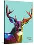 Colorful Deer Illustration. Background with Wild Animal. Low Poly Deer with Horns.-Sovusha-Stretched Canvas