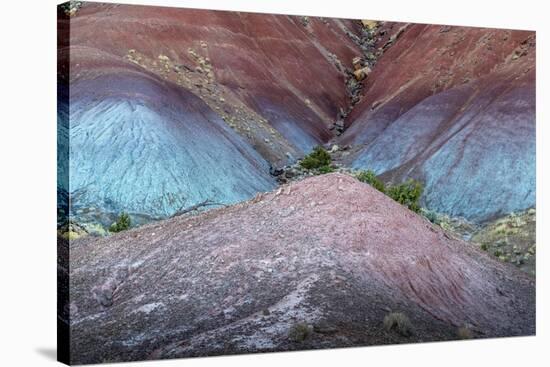 Colorful desert strata, Utah-Art Wolfe Wolfe-Stretched Canvas