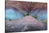 Colorful desert strata, Utah-Art Wolfe Wolfe-Stretched Canvas